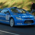 PEUGEOT 307 WRC