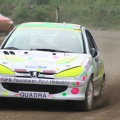 206 RC Fol Car